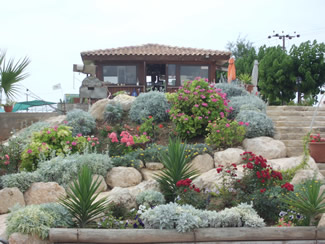 Flower Bed at Golf Course